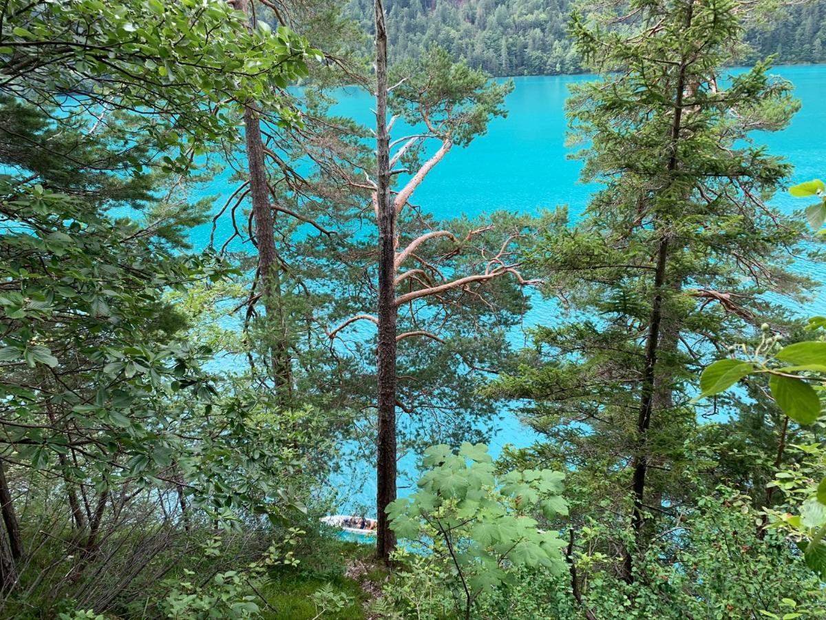 Haus Waldblick Daire Weissensee Dış mekan fotoğraf