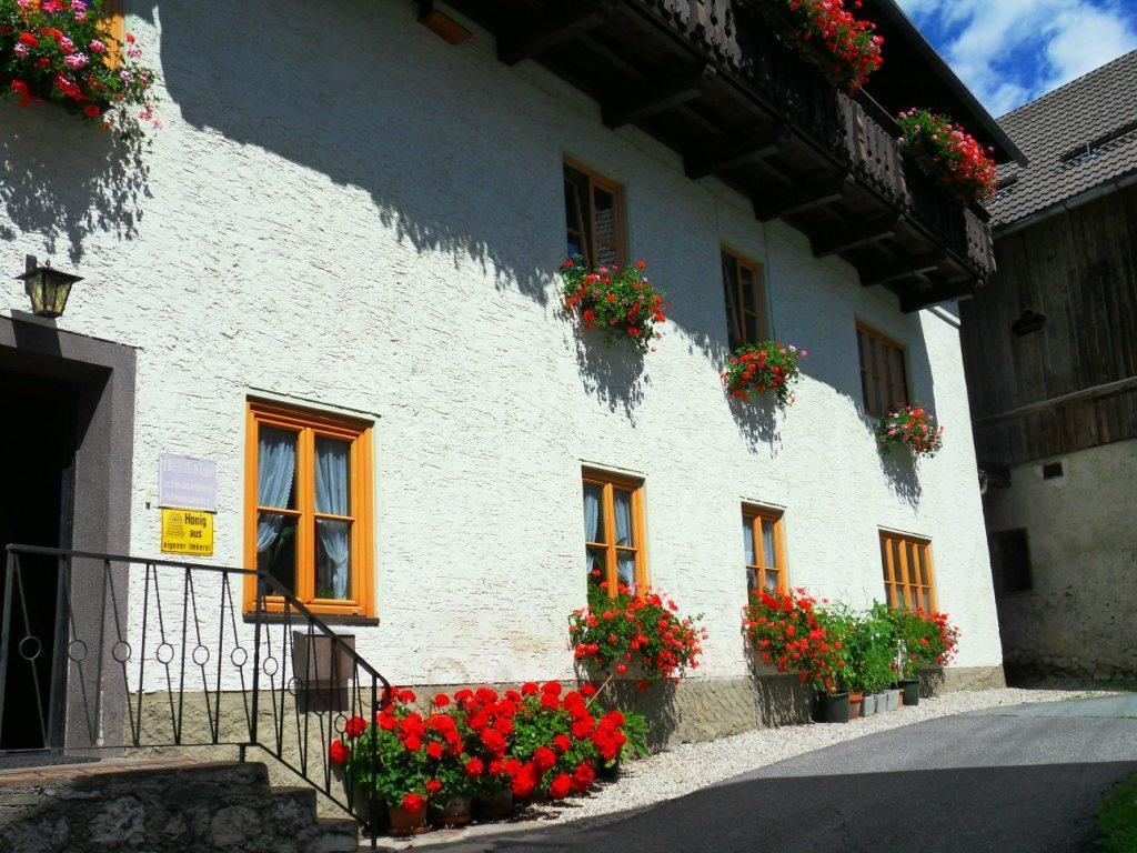 Haus Waldblick Daire Weissensee Dış mekan fotoğraf
