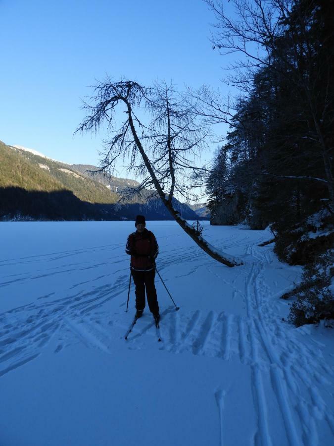 Haus Waldblick Daire Weissensee Dış mekan fotoğraf