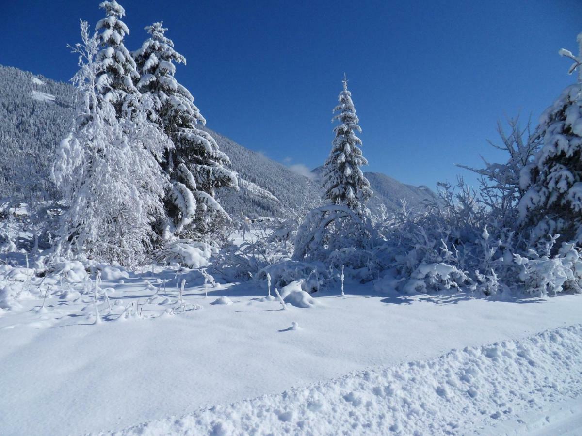 Haus Waldblick Daire Weissensee Dış mekan fotoğraf